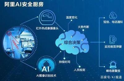 阿里AI荣膺WebVision图像识别冠军，华为云跻身前三，人工智能应用软件发展迈入新阶段