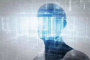 人工智能应用软件开发 未来5年绝不可错过的IT黄金赛道